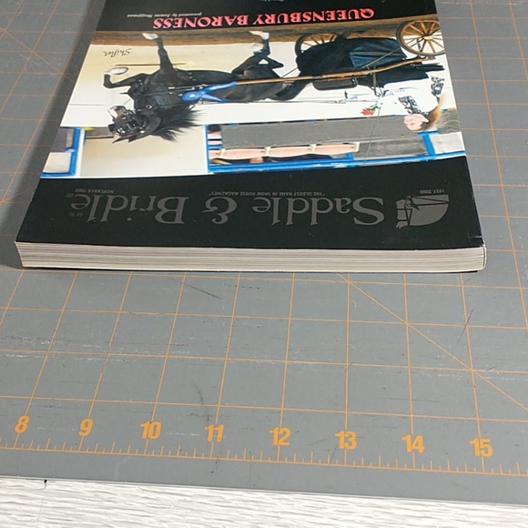 Saddle & Bridle magazine - Picture 6 of 9